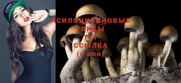 гидропоника Лабытнанги