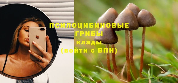 соль ск Ладушкин