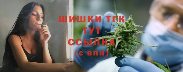 соль ск Ладушкин