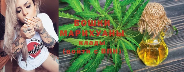 соль ск Ладушкин